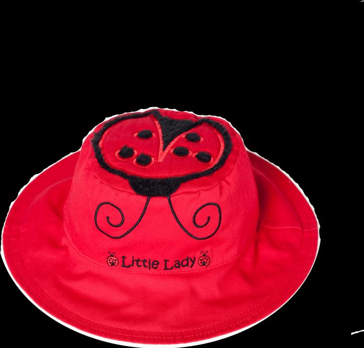 Immagine prodotto flapjackkids Coccinella e farfalla (50)