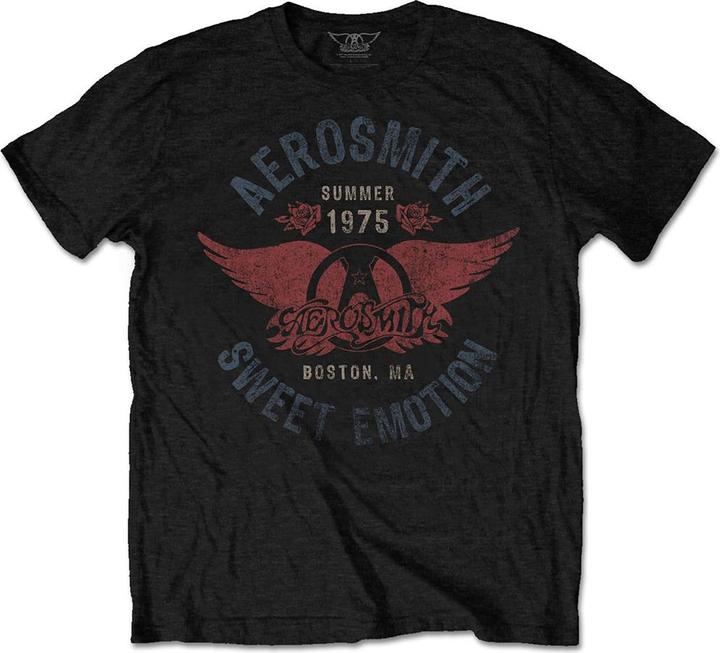 Aerosmith Sweet Emotion