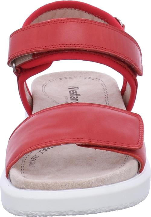 Actual product image Westland 25401-410 (42)