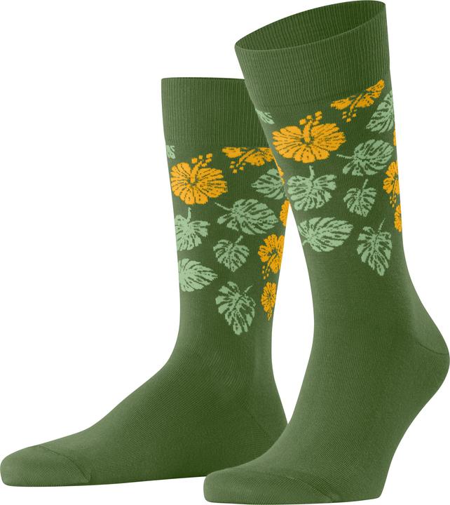 verde abete