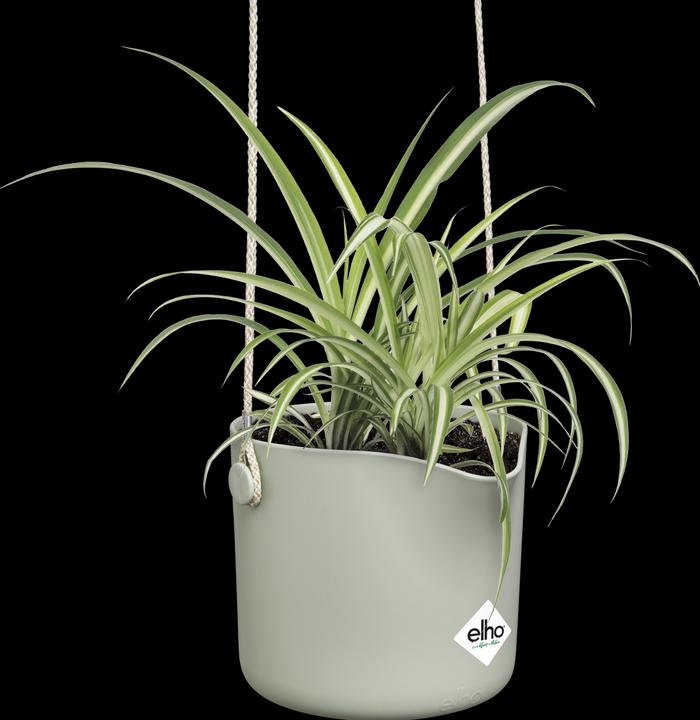 Produktbild Elho B.for Swing (18 cm)