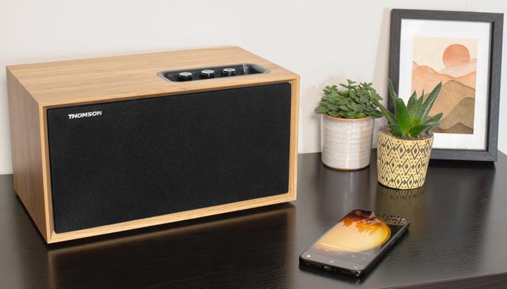 Image du produit Thomson WS502 - Enceinte multimédia compacte - Hout (Fonctionnement sur secteur)