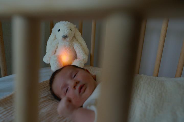 Actual product image ZaZu RO the Rabbit White