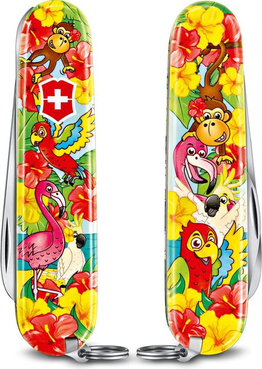 Actual product image Victorinox Pocket knife