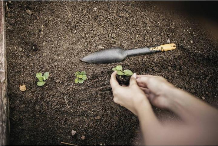 Productafbeelding Fiskars Stevige Zaadplantspaan