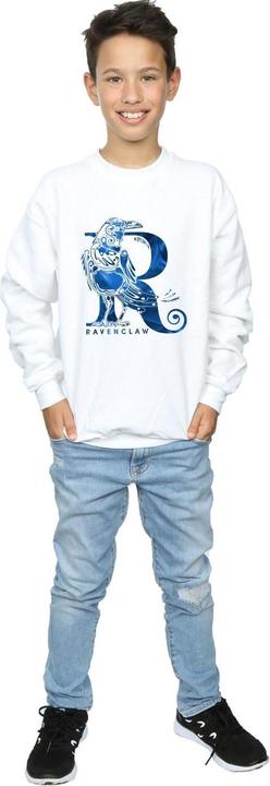 Image du produit - Sweat RAVENCLAW RAVEN - Garçon (128)