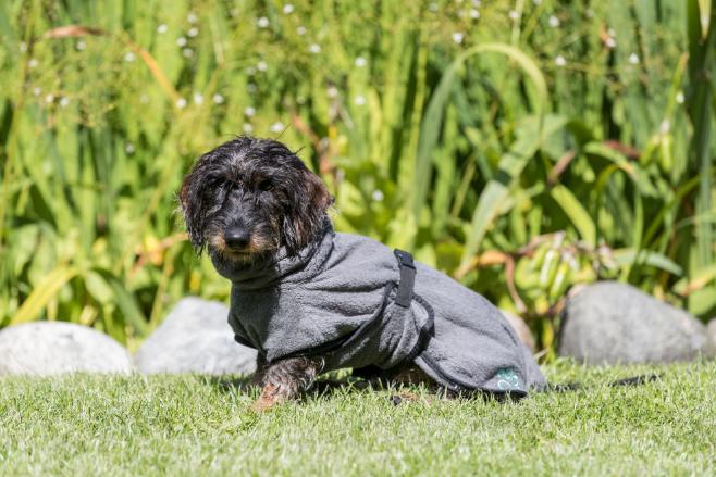 Image du produit Trixie Peignoir Frotee (M, Peignoir pour chien)