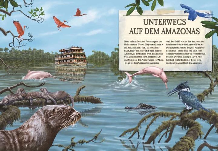 Produktbild Verborgene Welt des Regenwaldes (Deutsch, Kristina Scharmacher-Schreiber, Ferruccio Cucchiarini, 2020)