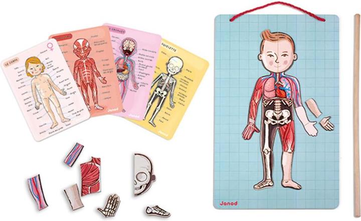 Janod Magnetic body (German, English, French, Italian, Spanish)