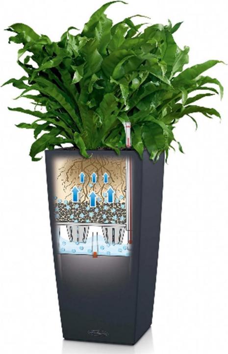 Actual product image Lechuza Cubico Color (22 cm)