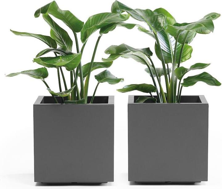 Actual product image Euro3plast Planter (39.50 cm)
