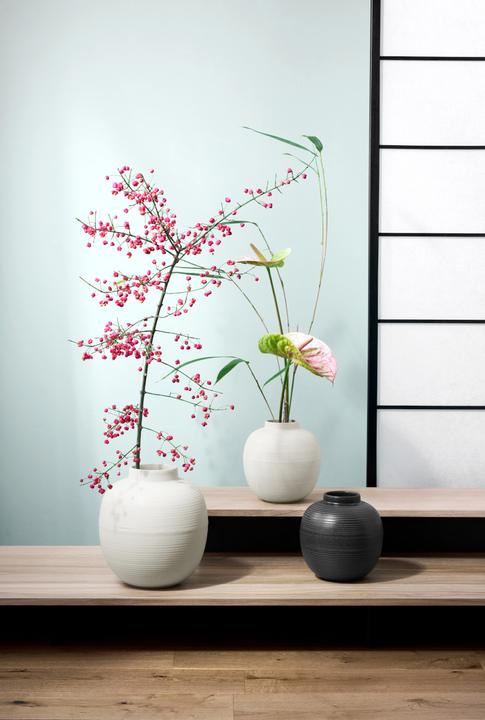 Produktbild ASA Selection japandi Vase soft shell 26,5cm (1 x)