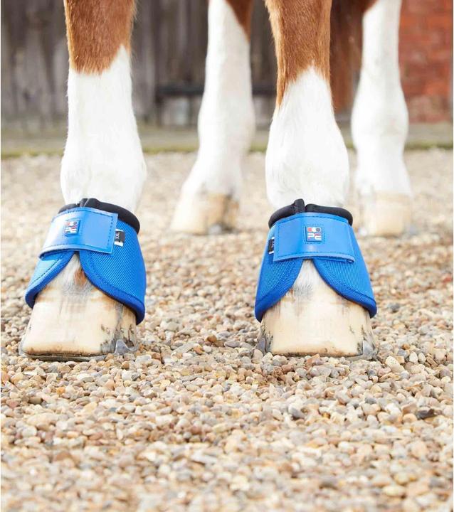Produktbild Premier Equine Ballistic