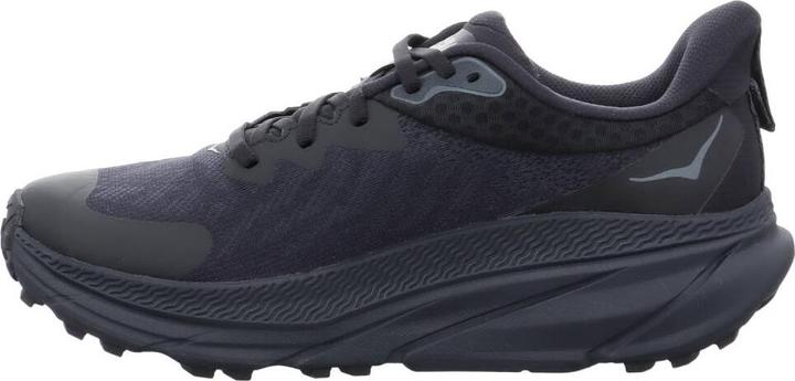 Actual product image Hoka Challenger ATR 7 GTX (43 1/3)