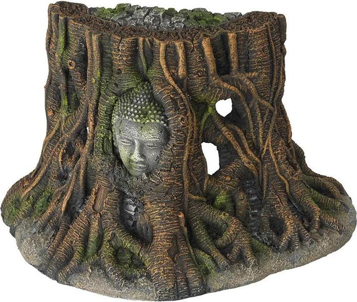 Produktbild EBI Aqua Della Buddha Tree Thailand S (Dekoration, sonstige Gegenstände)