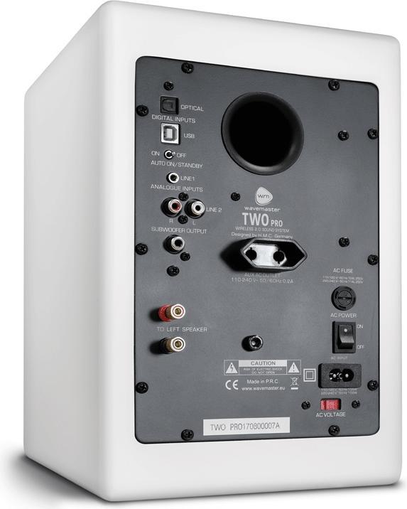 Actual product image Wavemaster Two Pro (1 pair, 110 W)
