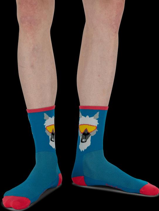 Actual product image Dirtysox llama (S)