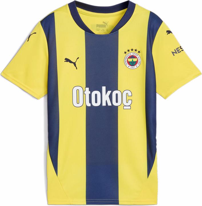 Actual product image Puma FSK Home Jersey Replica Jr (152)