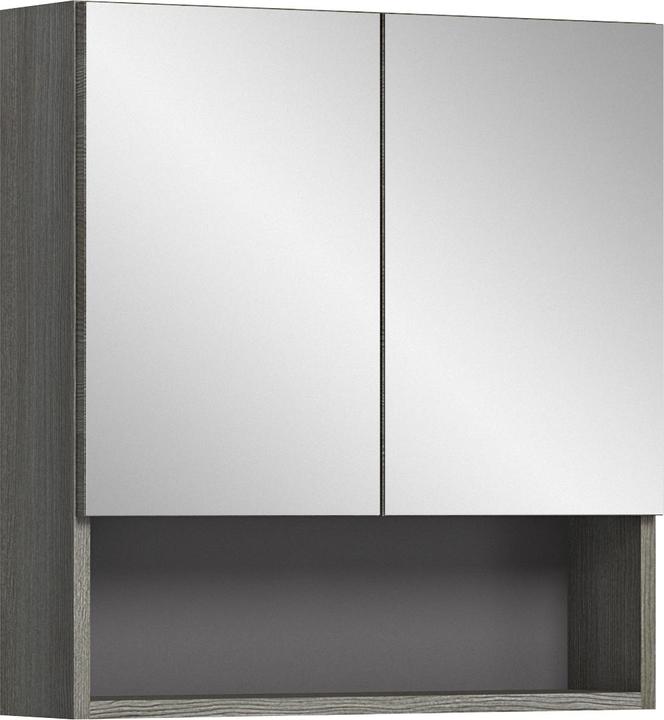 Produktbild Xonox Home Spiegelschrank Silver (60 x 16 cm)