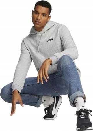Actual product image Puma ESS+ 2 Col Small Logo Hoodie FL (L)