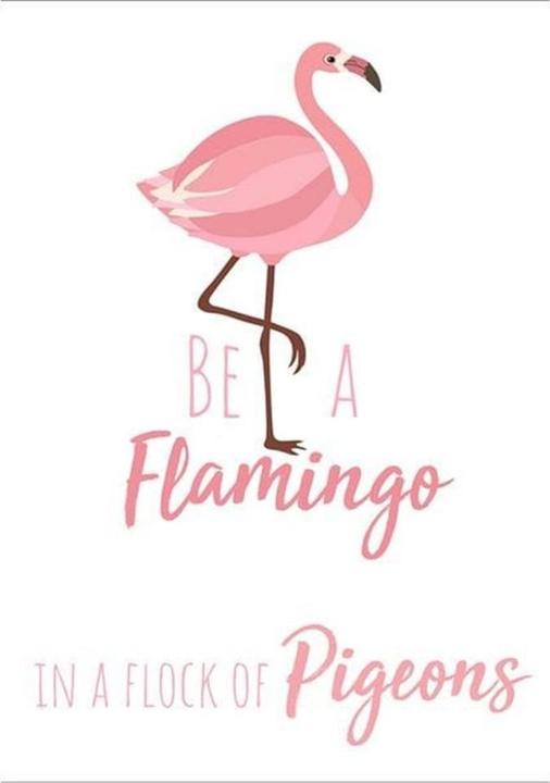 Produktbild Glorex Bastelset Flamingo Freundschaftsband (1 Stk.)