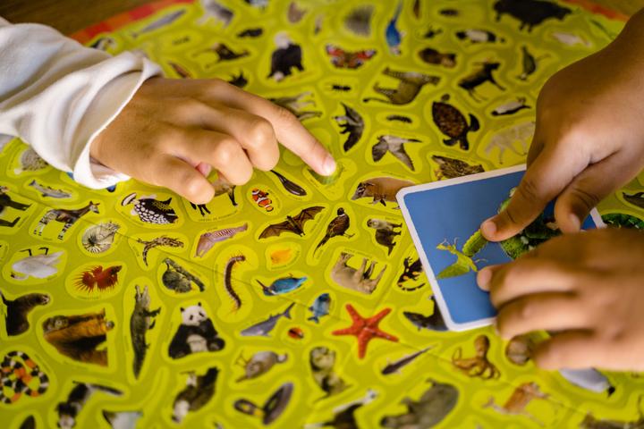 Image du produit Nathan Mission animaux jeu de société Fine motor skill (dextérité) (Français)