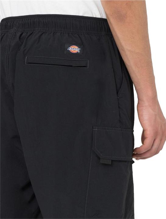 Actual product image Dickies Jackson Cargo Shorts (S, L)