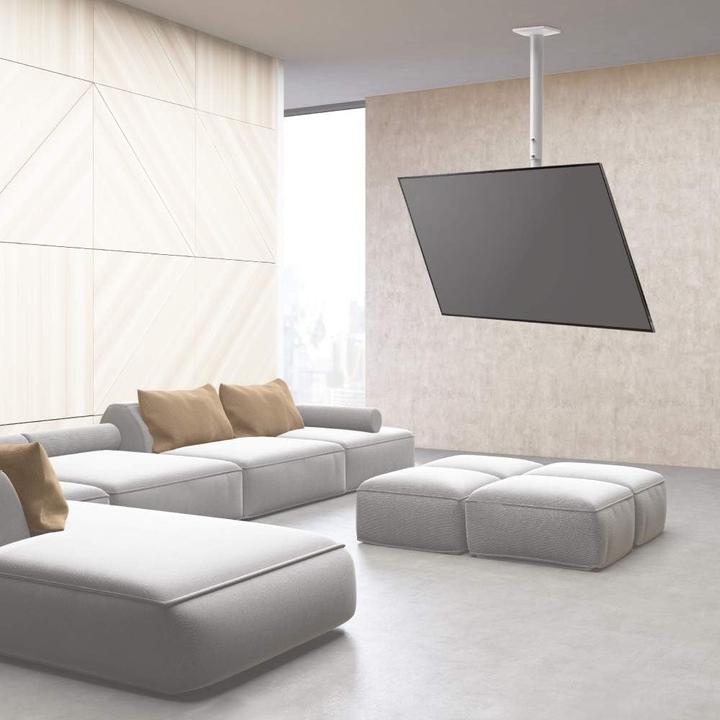 Actual product image Barkan Ceiling bracket (Ceiling, 65", 40 kg)