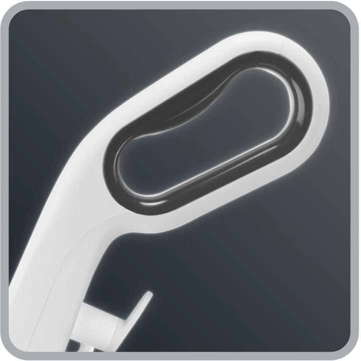 Actual product image Rowenta RH8037 Powerline Extreme