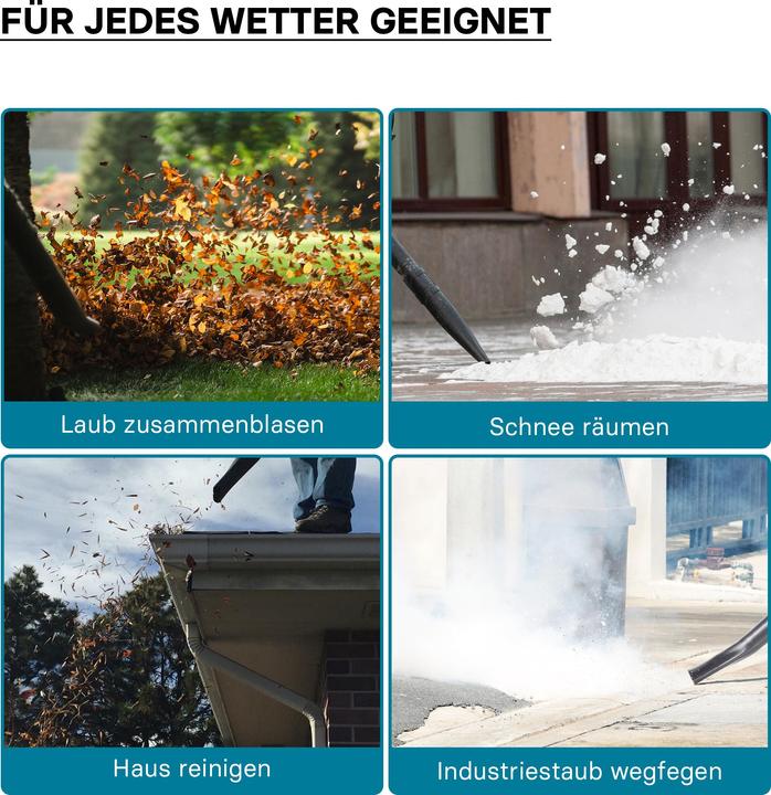 Image du produit Wiltec Souffleur de feuilles (Essence, Souffleur de feuilles)