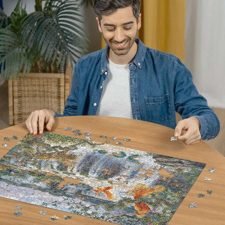 Image du produit Ravensburger Puzzle 12001090 - Fantastique cascade d'Iguazú - 1000 pièces Puzzle pour (1000 pièces)
