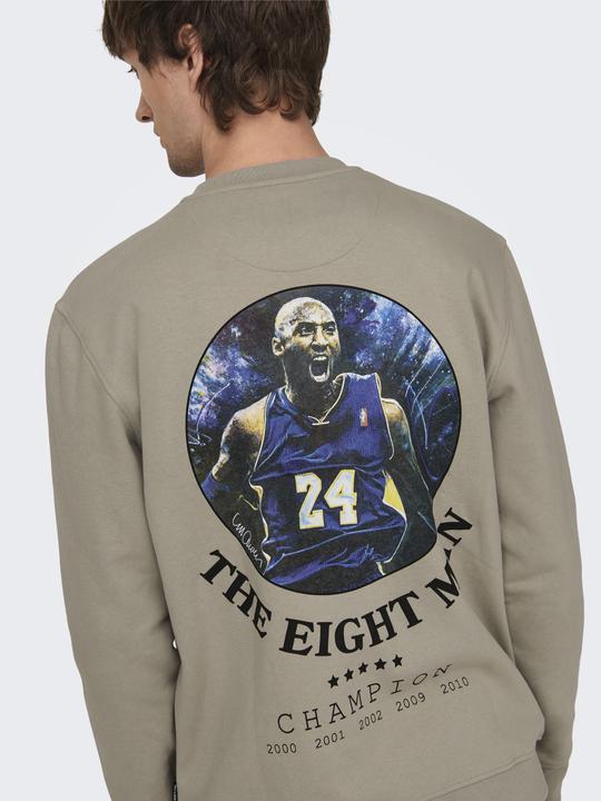 Actual product image Only & Sons ONSCELEBRITY REG CREW NECK SWT sweatshirt - 562138 (M)