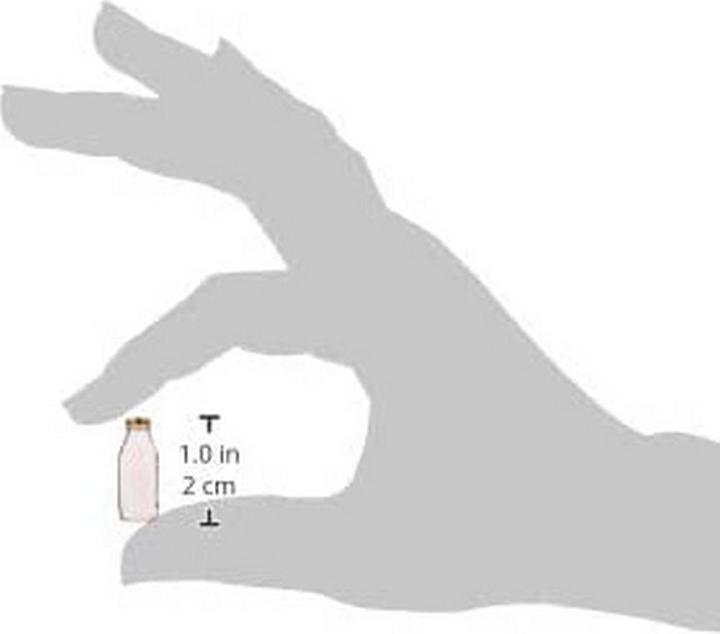 Immagine prodotto Bormioli Rocco Flasche Quattro Stagioni (1 pz., 1 l)