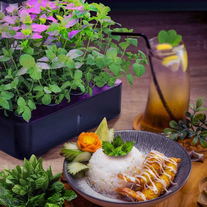 Image du produit Litrax LX202 - ROBIN jardin de salades