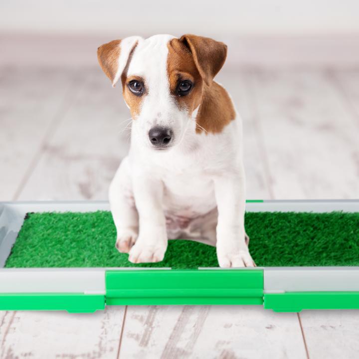 Image du produit Relaxdays Toilettes pour chiens (Chien)