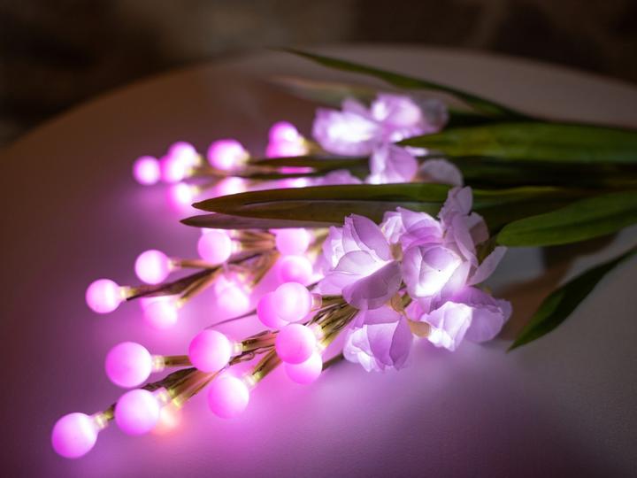 Produktbild Europalms Aronstab 3er Set mit LEDs, pink, 85cm (85 cm)