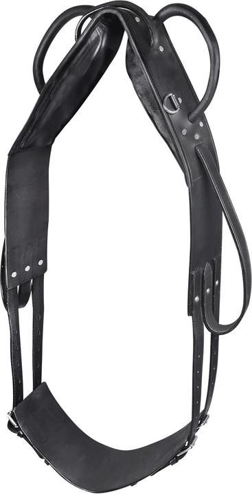 Waldhausen Lunging and vaulting belt