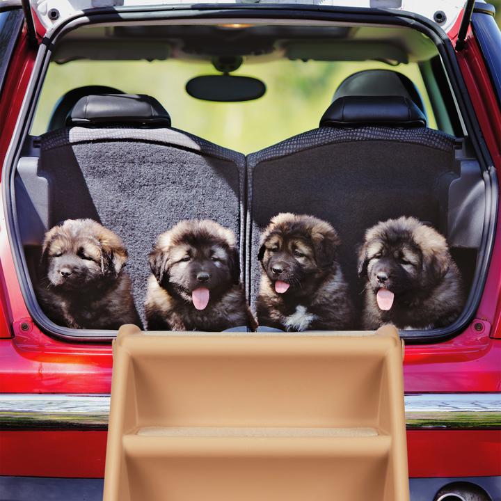 Actual product image Relaxdays Dog Stairs, 4 Steps (Dog, Foldable)
