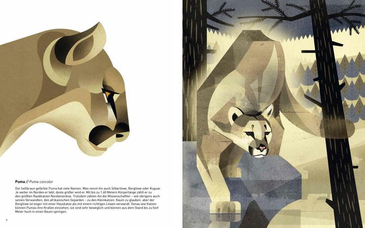 Produktbild Die Welt der wilden Tiere (Deutsch, Dieter Braun, 2015)