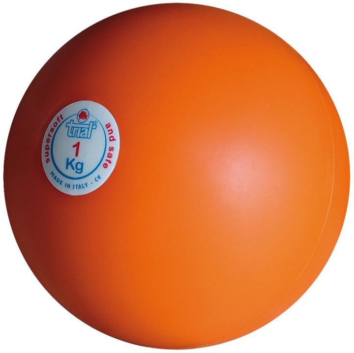 Immagine prodotto Trial Palla paracolpi per interni, 1 kg (1000 g)