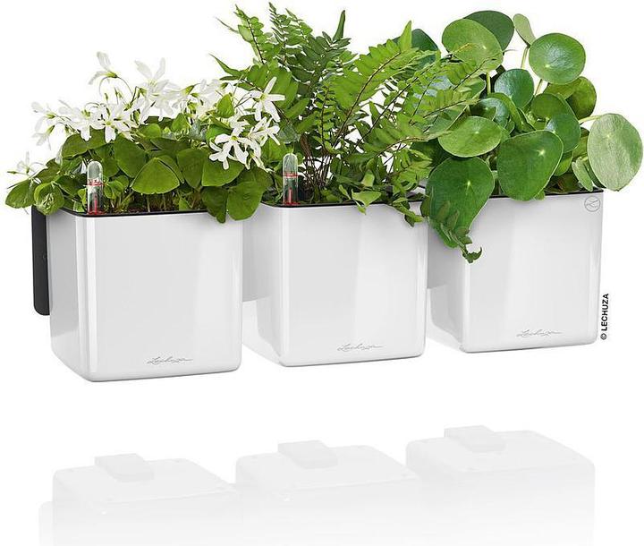 Produktbild Lechuza Green Wall Home Kit (15 cm)