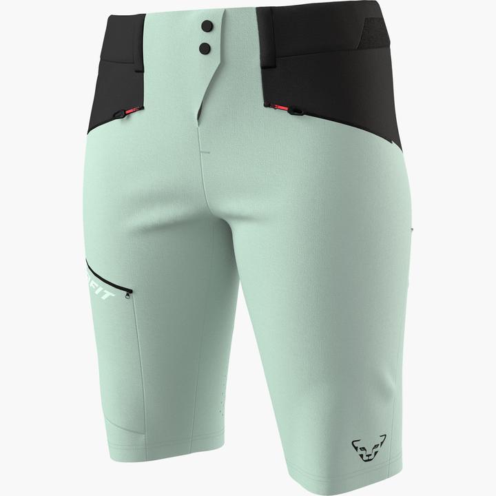Actual product image Dynafit Transalper Dynastretch Shorts (M)