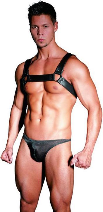 Actual product image Zado Chest Harness (M)