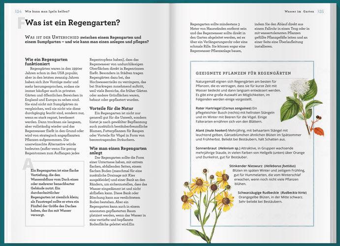Produktbild Können Igel schwimmen und gehen Bienen baden? (Deutsch, Helen Bostock, 2020)