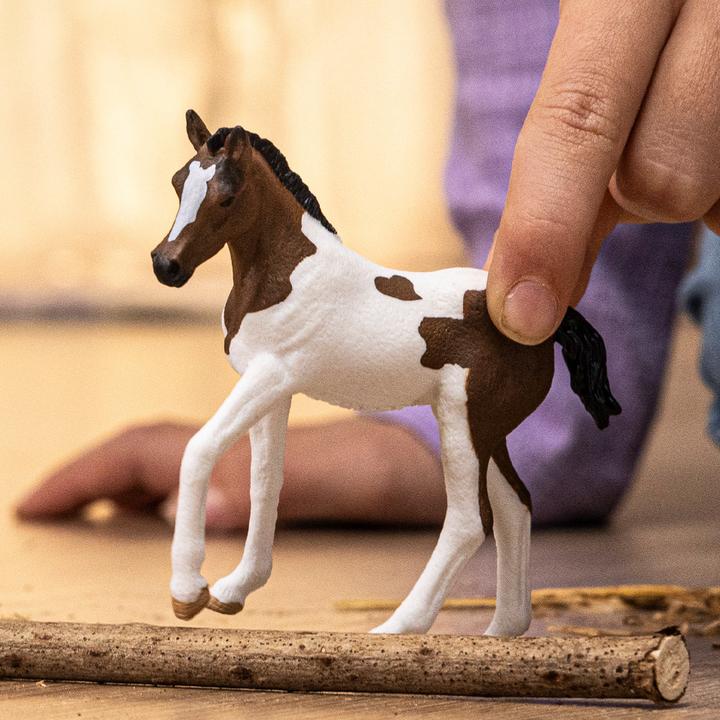 Image du produit Schleich Poulain Paint Horse