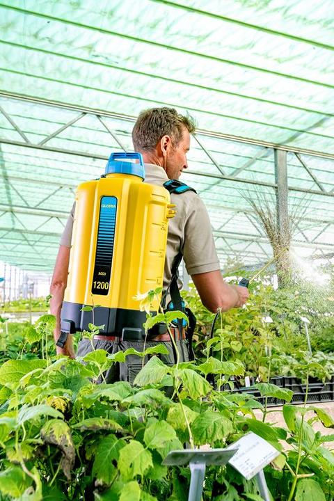 Productafbeelding Gloria Haus und Garten 000067.0000 Accu rugspuit 18V 12l zonder accu rugspuit 12 l (0000 (12 l)