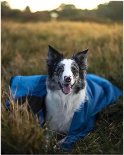 Produktbild Non-Stop Dogwear Ly Sleepingbag For Dog (M, Hundemantel)