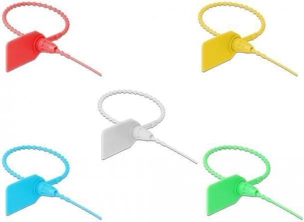 Immagine prodotto Delock Fascetta con campo di etichettatura L 250 x L 2,7 mm 10 pezzi colori assortiti (Fascette in plastica, 250 mm, 10 pz.)