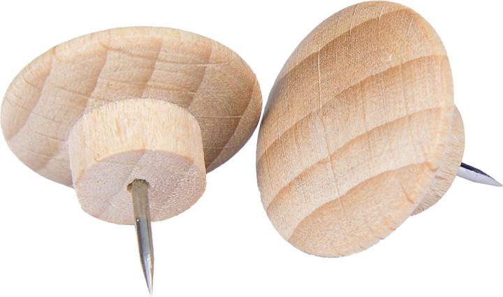 Immagine prodotto Legamaster Perni di spinta Legno, 25 pezzi (25 Pezzo/i, 18 mm)