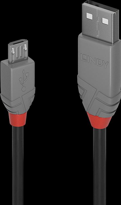 Actual product image Lindy Anthra Line (0.20 m, USB 2.0)